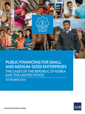 cover image of Public Financing for Small and Medium-Sized Enterprises